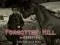 Igra Forgotten Hill Memento: Run Run little Horse online