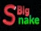 Igra Big Snake.io online