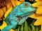 Igra Ultimate Puzzles Animals 6 online