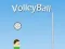 Igra VolleyBall online