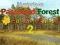 Igra Mysterious Password Forest Autumn Edition 2 online