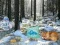 Igra Winter Wonderland Forest Adventure online