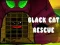 Igra Black Cat Rescue online