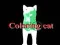Igra Coloring cat online
