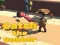 Igra Catsh the robber online