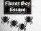 Igra Floret Boy Escape online