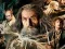 Igra The Hobbit Jigsaw Puzzle Collection online