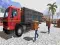 Igra Asian offroad cargo truck driver online