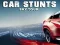 Igra Car Stunts Sky Tour online