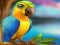 Igra Little Parrot Escape online