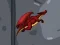 Igra Dragon Domination online