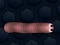 Igra Math Slither online