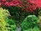 Igra Maple Leaf Garden Escape online