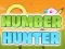 Igra Number Hunter online