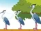 Igra Violet Bird Escape online