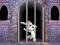 Igra Victory Rabbit Escape online