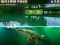 Igra Willow Pond online