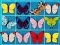 Igra King Of Mahjong online