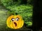Igra Help The Hungry Monkey online