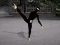 Igra Ninja Academy online