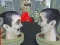 Igra 2 Player: Skibidi Toilet Fight online