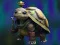 Igra Isolated Turtle Escape online