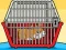 Igra Rescue The Hamster From Cage online