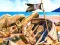 Igra Pirate Mysteries online