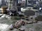Igra Friends Rescue From Skeleton online