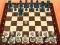 Igra Chess Master 3D online