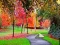 Igra Butterfly Family Escape online