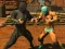 Igra Fighter Legends Duo online