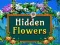 Igra Hidden Flowers online