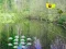 Igra Sunlight Forest Adventure online