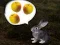 Igra The Foggy Forest online
