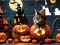 Igra Jigsaw Puzzle: Halloween Cat online