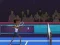 Igra Badminton Brawl online