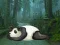 Igra Wakeup The Sleeping Panda online