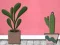 Igra Find Houseplant online