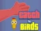 Igra Catch the Birds online