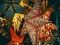 Igra Christmas Stars Jigsaw online