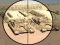 Igra Camo Sniper online