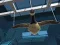 Igra Goose Museum online