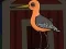 Igra Cute Godwit Escape online