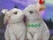 Igra Rescue The Cupid online