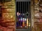 Igra Hidden Cat Escape online