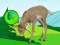 Igra The Deer Meadow Escape online