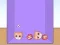 Igra Evolution of Cat Memes online