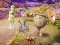 Igra Mystery House online