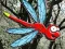 Igra Escape From Dragonfly Forest online